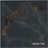 Hoes van Sad but True door Metallica