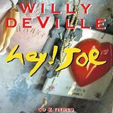 Hoes van Hey ! Joe door Willy DeVille