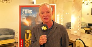 Sting Evergreen Top 1000