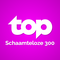 topradio schaamteloze 300 hitnoteringen 2025